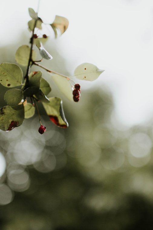 Photographe Alsace Strasbourg mariage portrait famille France